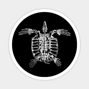 Turtle Skeleton Magnet